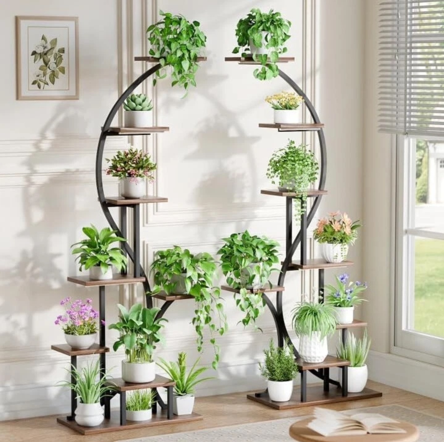 Plant image