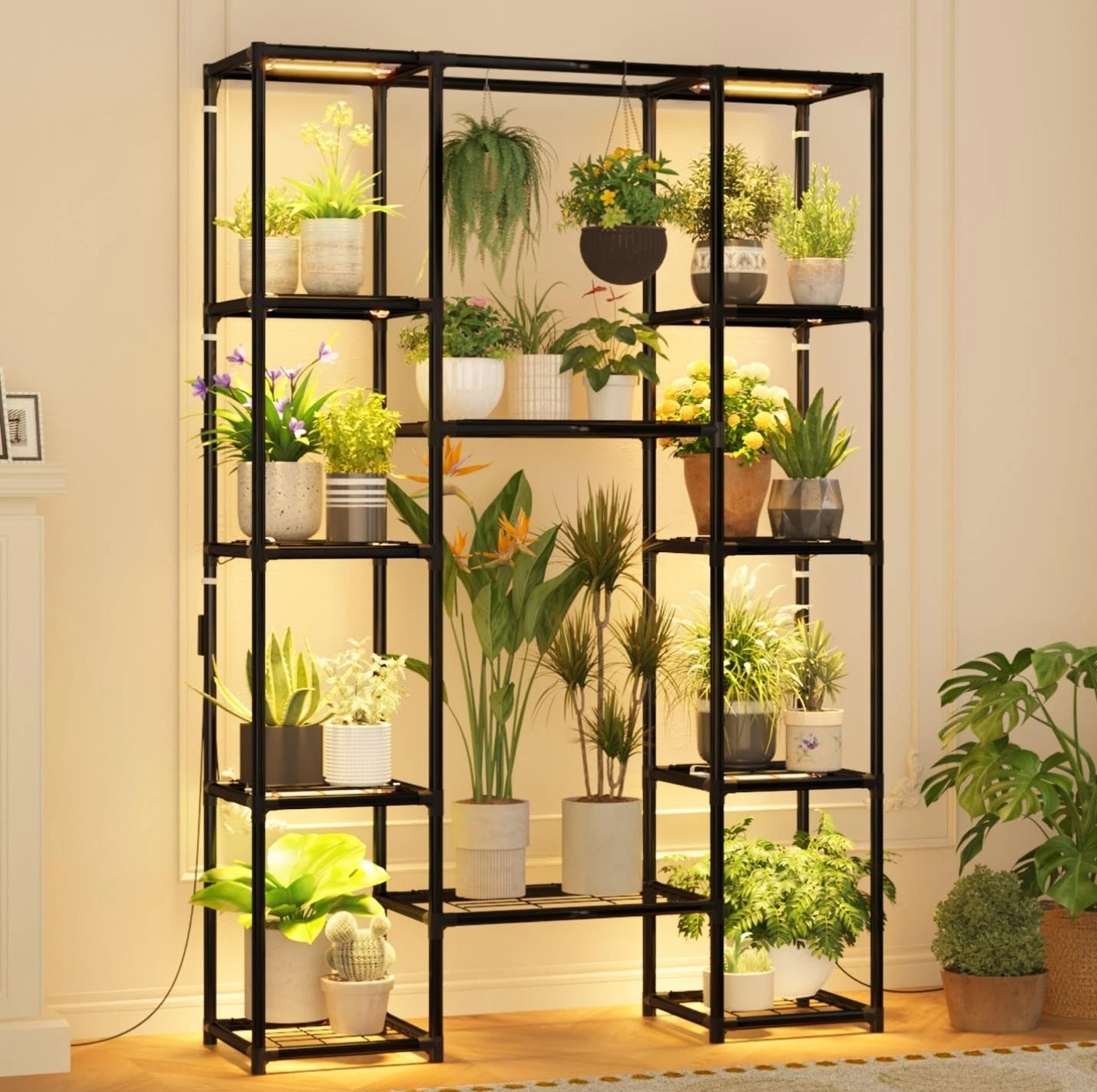 Plant image